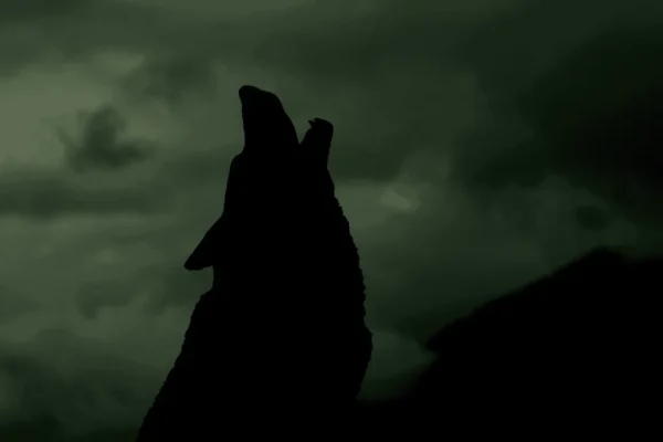 Viking Mythical Animals: Norse Creatures and Legends
